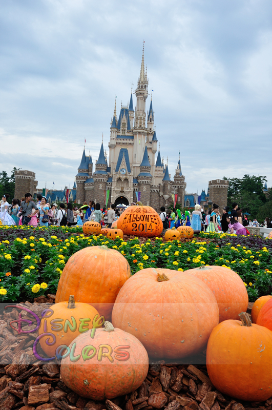 東京ディズニーランド