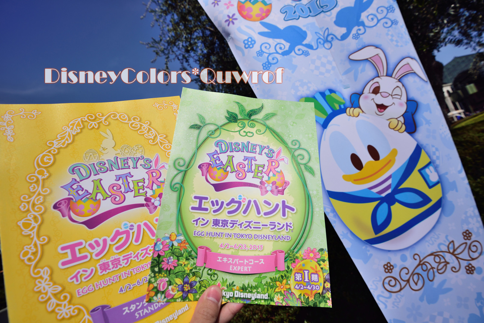 エッグハントに挑むにんじんジャージ軍団 15年4月12日 東京ディズニーランドのインレポ Disney Colors Blog