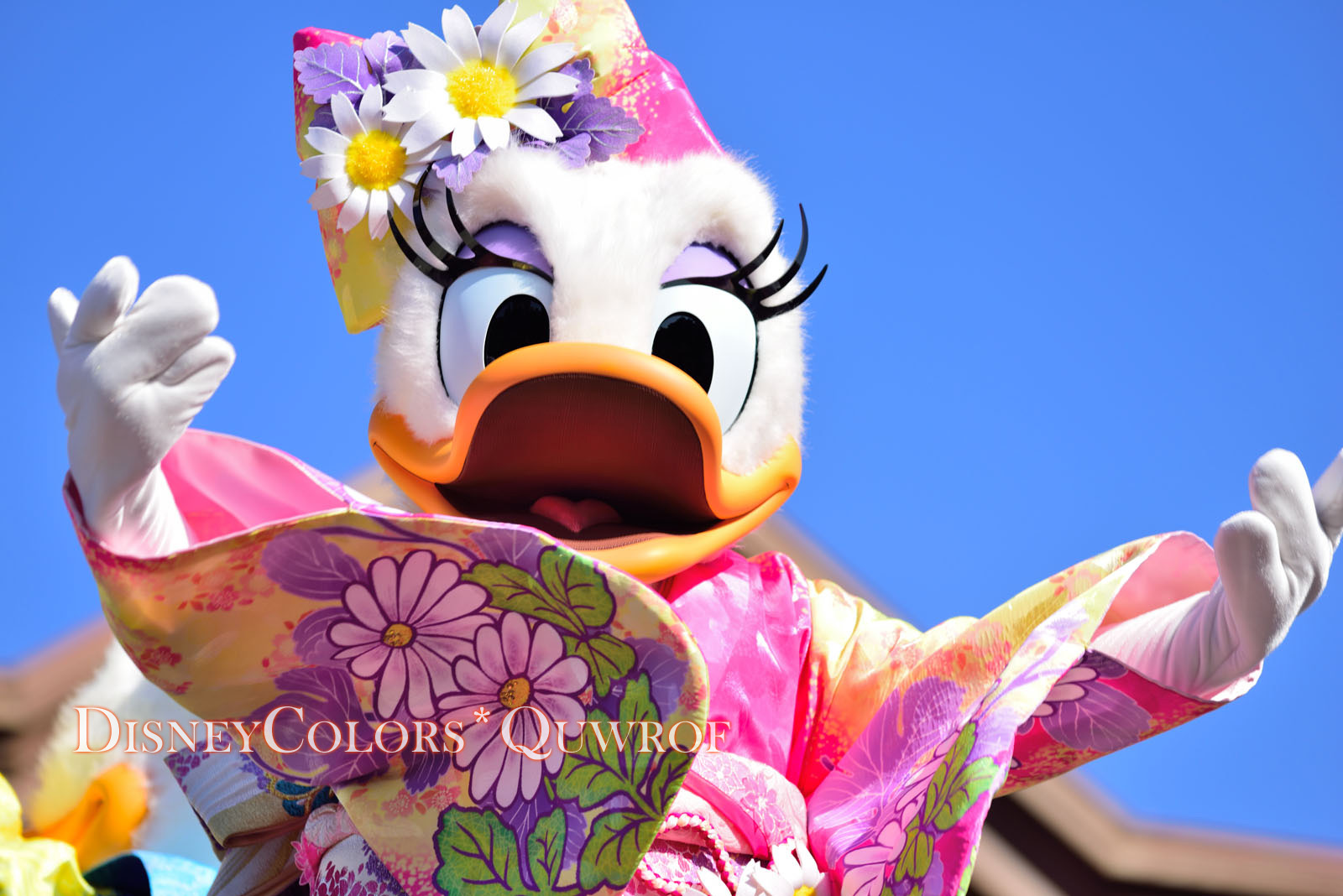 今年最初のパークで新年のご挨拶 16年1月4日 ディズニーランドのインレポ Disney Colors Blog