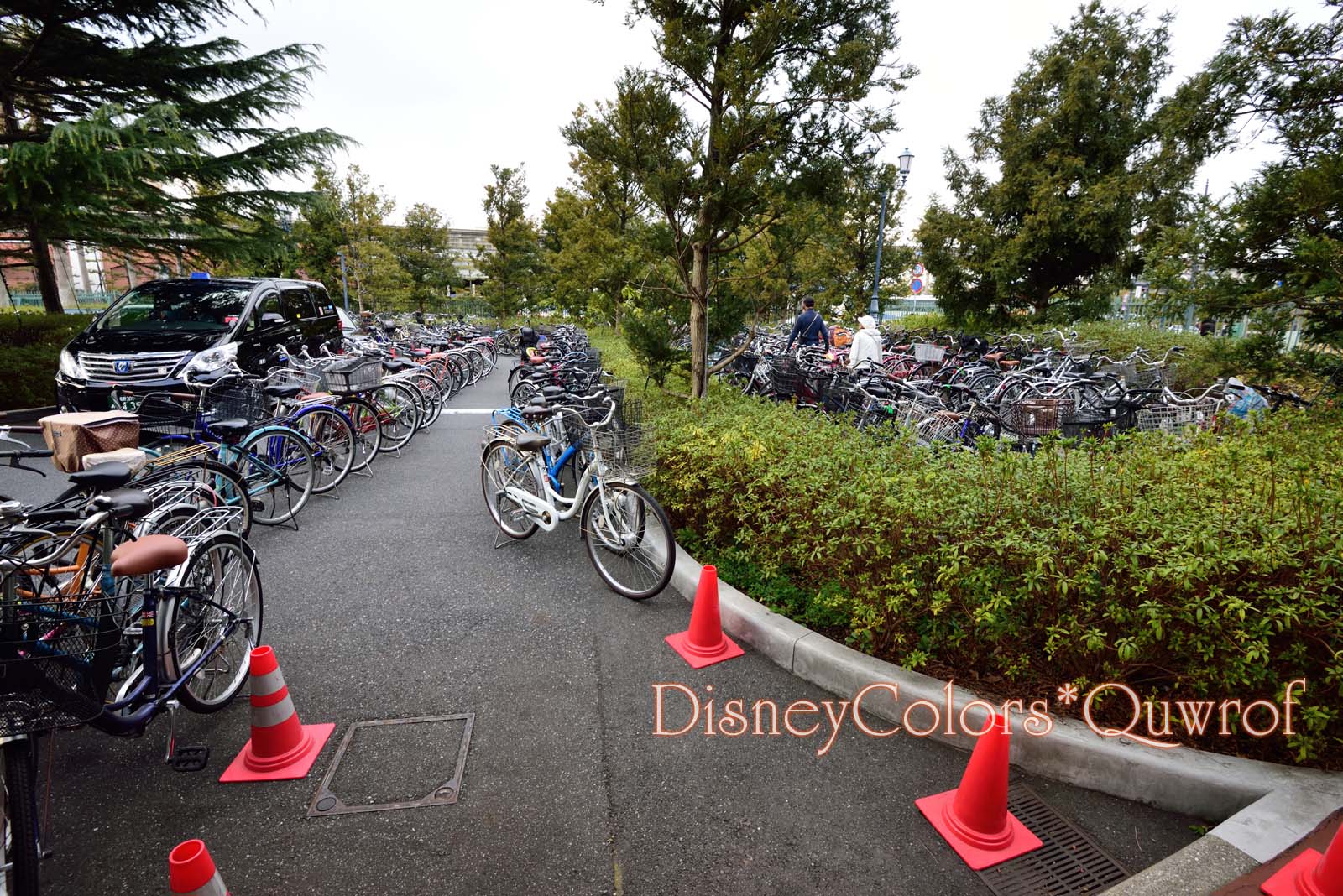 東京ディズニーシー