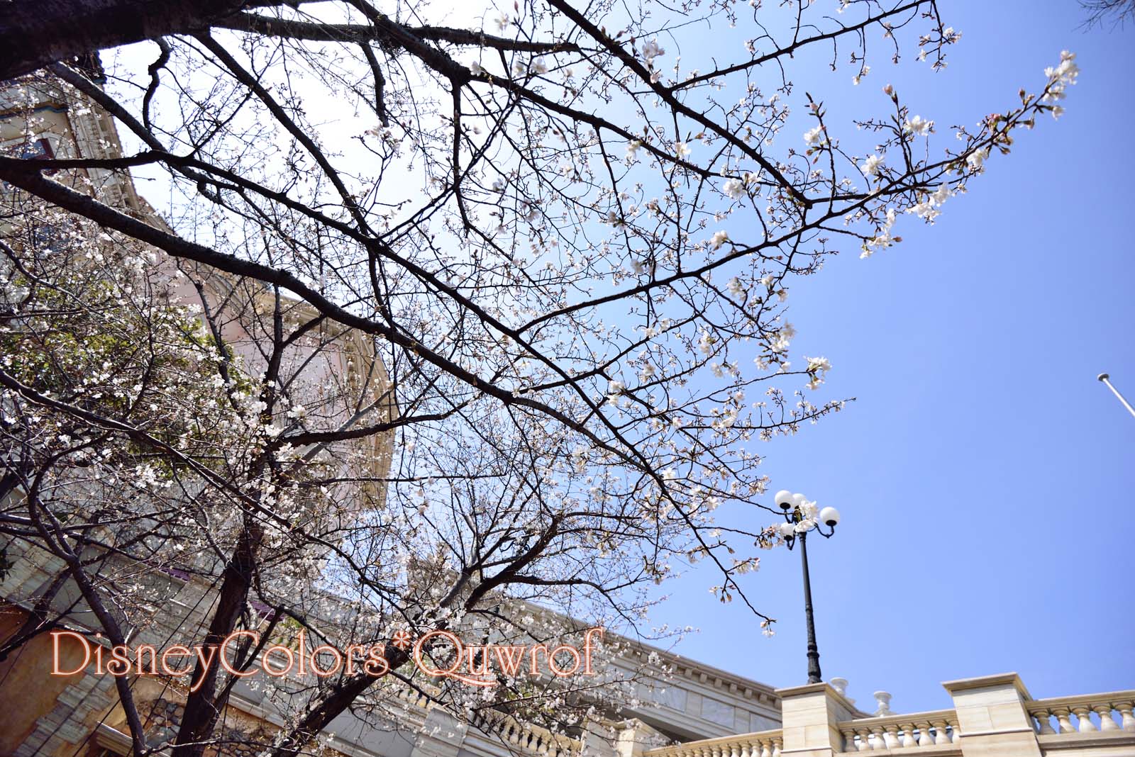 東京ディズニーシー