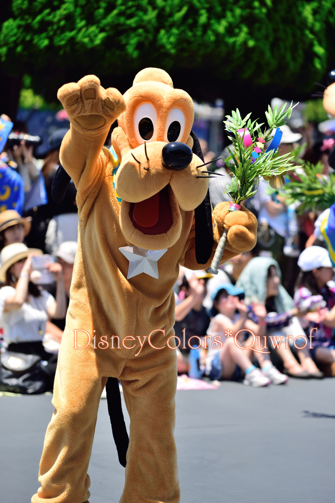 東京ディズニーランド 七夕グリーティング2017