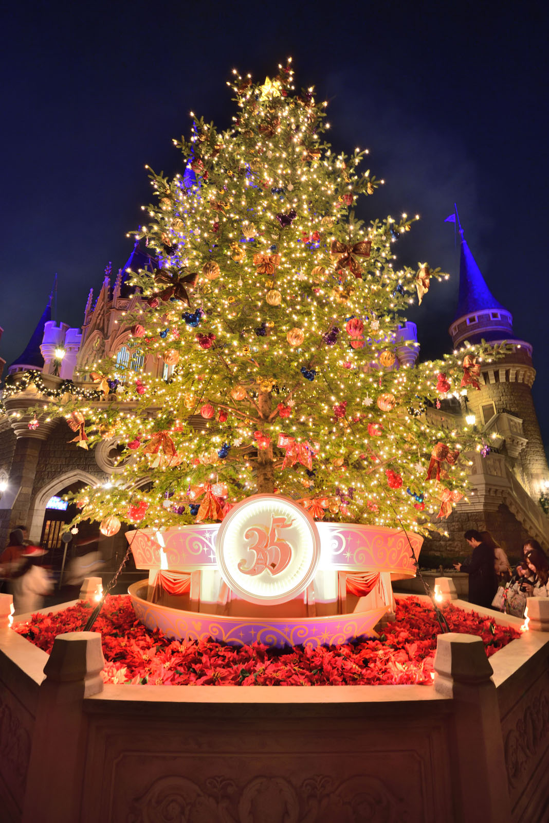 東京ディズニーランド ディズニー・クリスマス2018