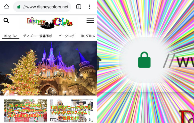 Disney Colors SSL化