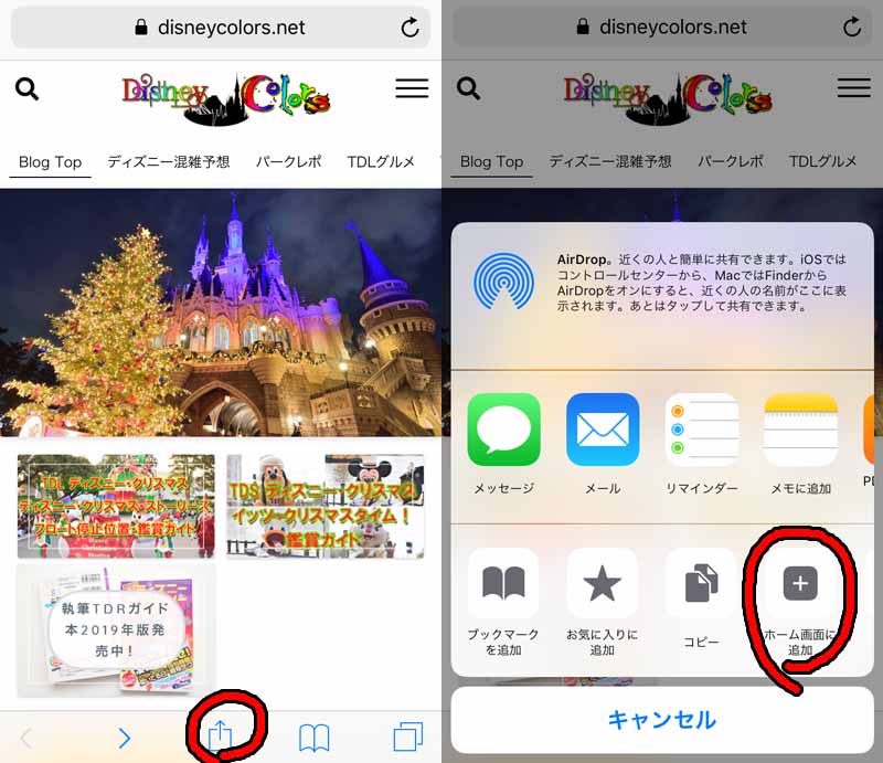 Disney Colors SSL化