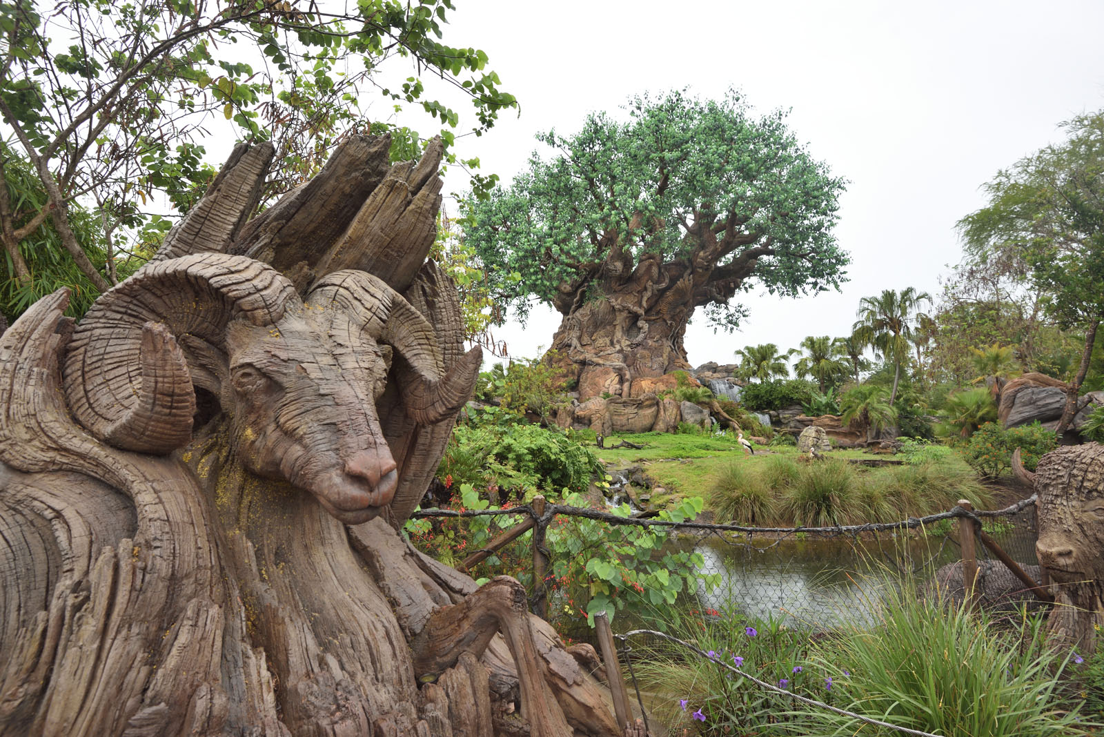 ウォルト・ディズニー・ワールド ディズニー・アニマル・キングダム Walt Disney Wolrd Disney's Animal Kingdom