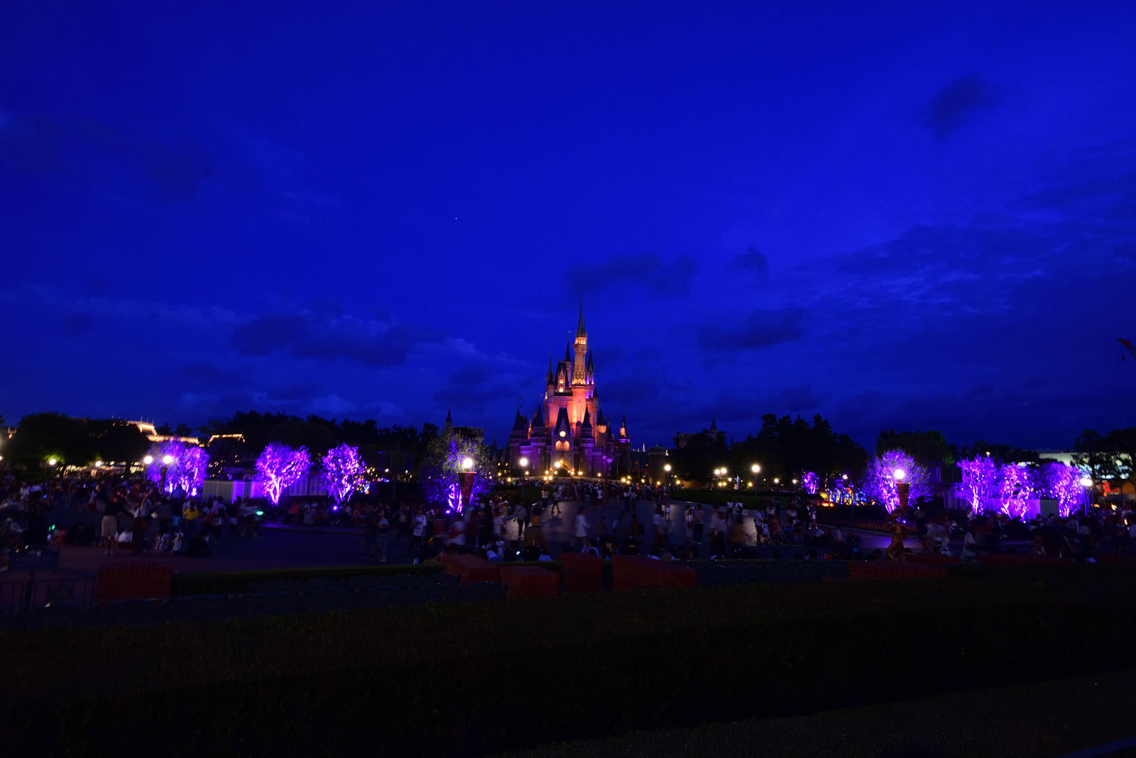 東京ディズニーランド ディズニー・ハロウィーン2018