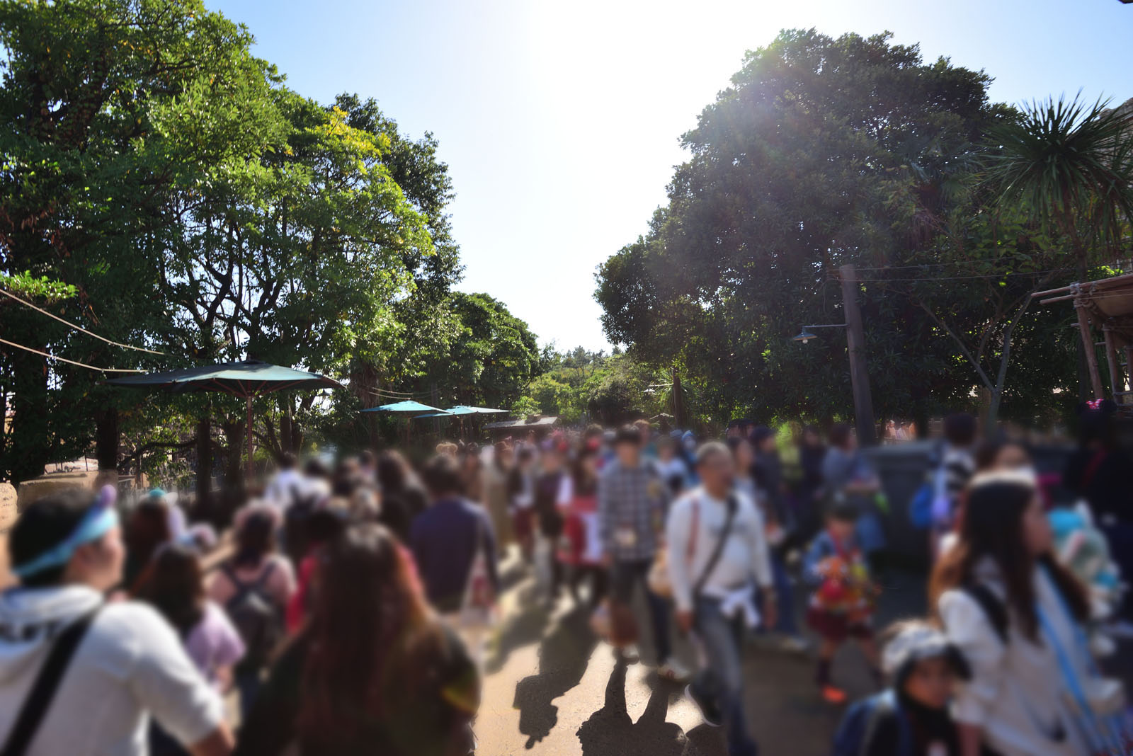 2018年10月21日 入園制限