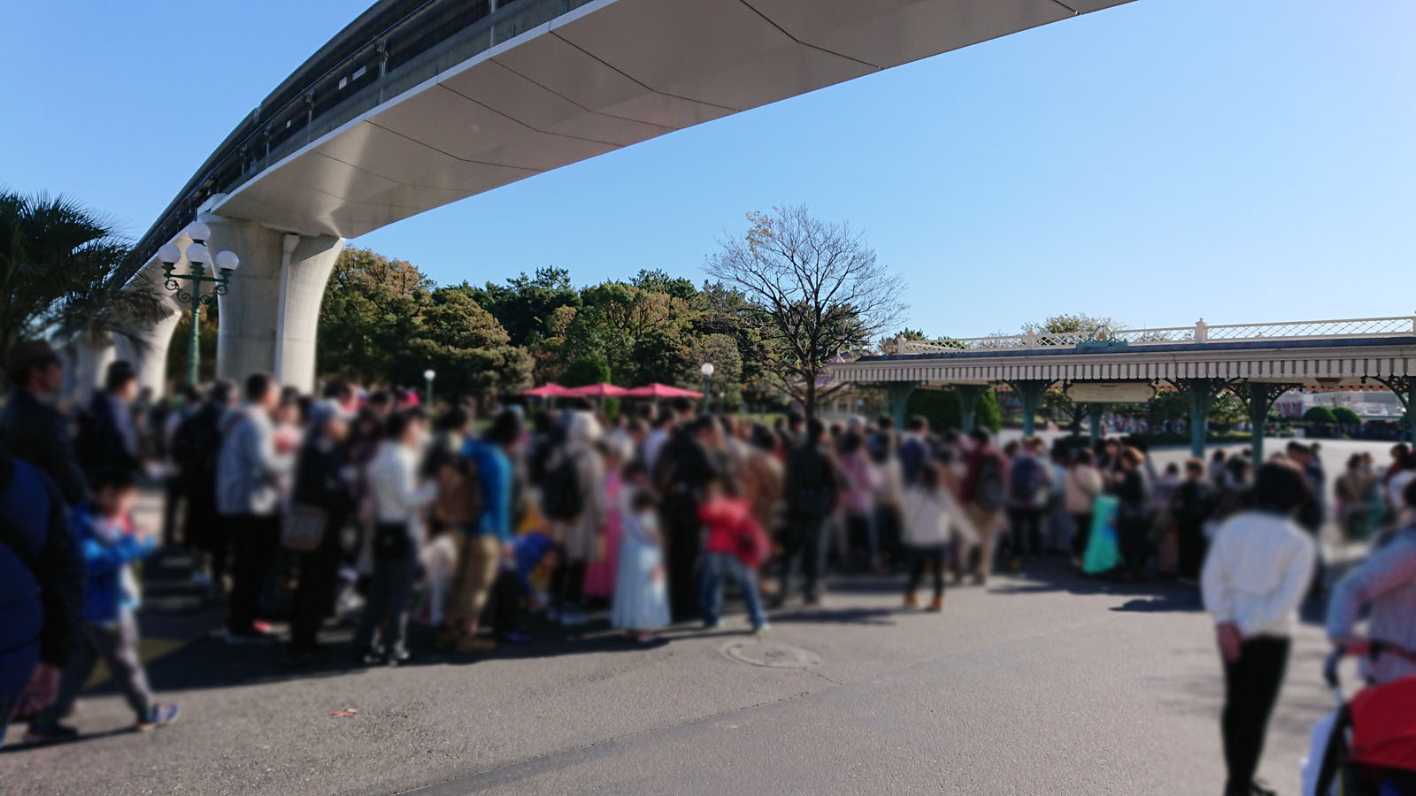 2018年11月23日 東京ディズニーランド 東京ディズニーシー 入園制限