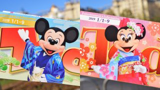 Today 東京ディズニーランド 東京ディズニーシー 2019年1月1～9日