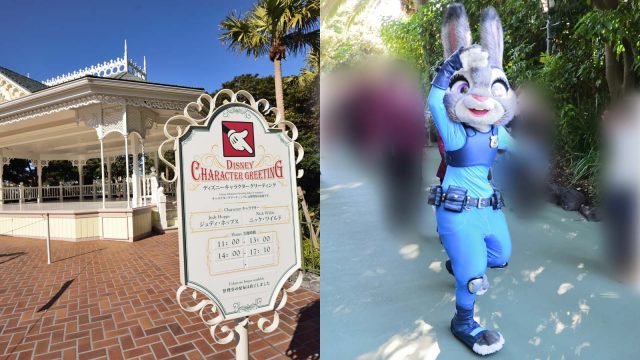 東京ディズニーランド ジュディ ニック グリーティング 整理券