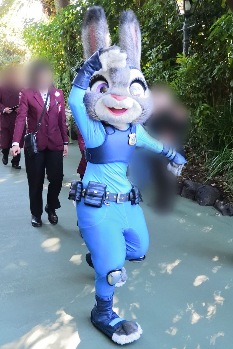 整理券は開園5分もたず終了!TDLジュディとニックのグリーティング初日レポ|Disney Colors - Blog