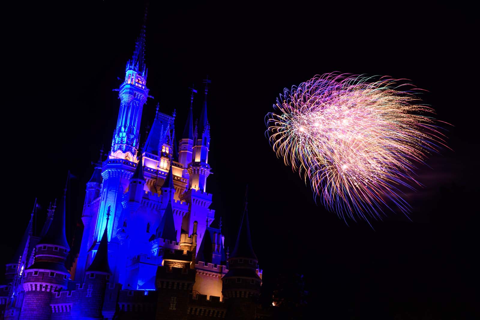 東京ディズニーランド 東京ディズニーシー ディズニー・ライト・ザ・ナイト