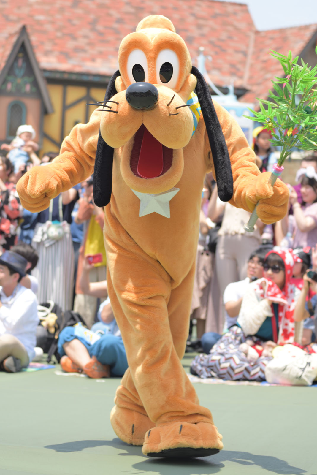 東京ディズニーランド 七夕グリーティング2019 プルート