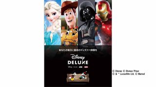 Disney DELUXE ディズニーデラックス ogp