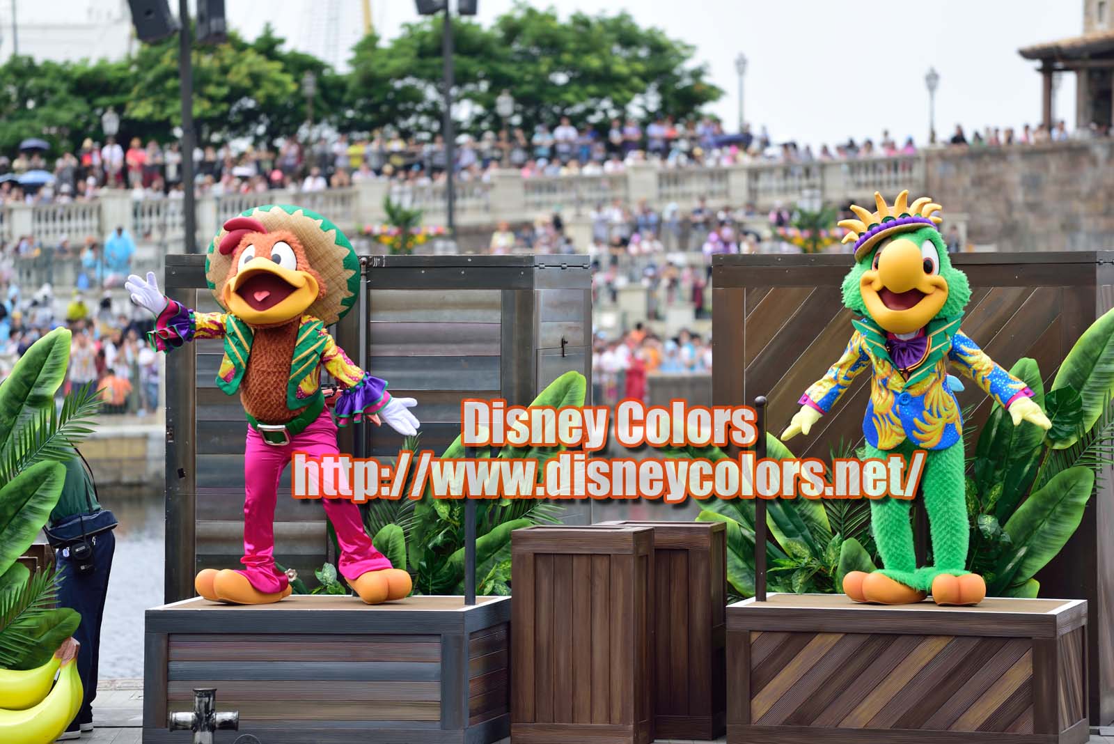 Tds ミニーのトロピカルスプラッシュ16 鑑賞ガイド Disney Colors Event Guide